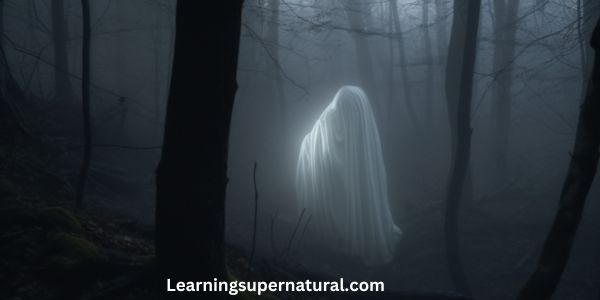 Scientific Explanations For Apparitions